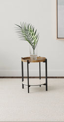 Adhvik End Table