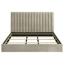 Arielle Bookcase Bed