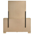 Arielle Dresser with Mirror