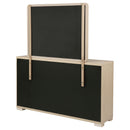 Ladera Dresser with Mirror