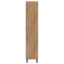 Teller Shoe Cabinet