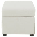 Winter Storage Ottoman