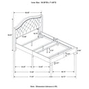 Sonoma Wingback Bed