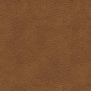 Carianna Loveseat