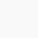 Bostwick Shoals - Dresser