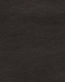 Vacherie - Rocker Recliner