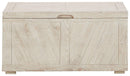 Ryker - Storage Trunk