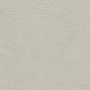 Mindanao Power Recliner