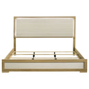 Hyland Panel Bed with LED Lighting